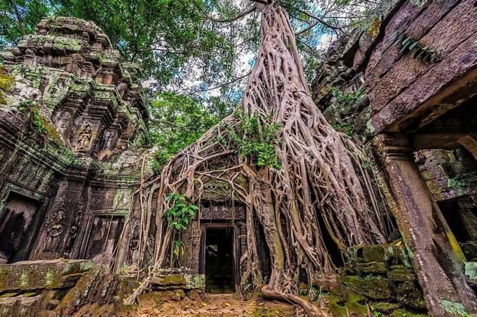 Ta Prohm - © Phuotvivu