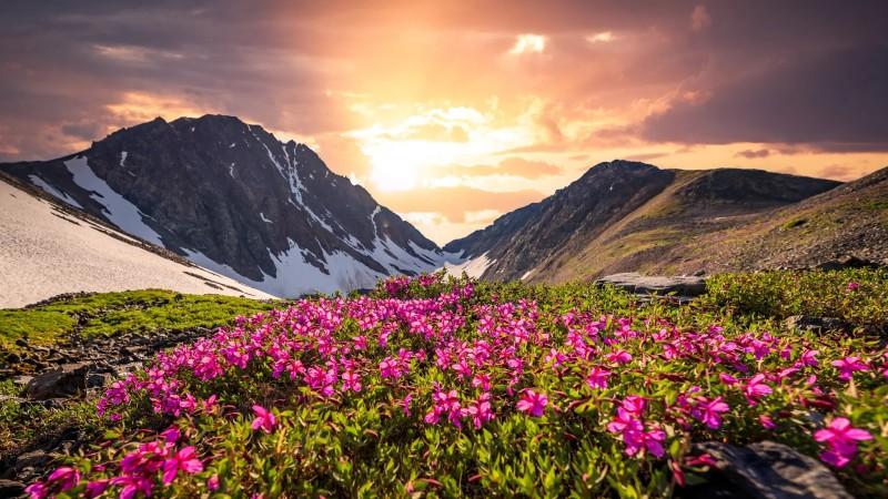 The Valley of Flowers trek - © gather