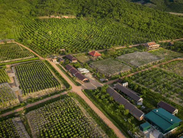 Kampot Pepper Plantations - © Laplantation