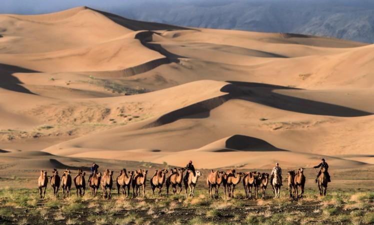 Hongor Els - © gather