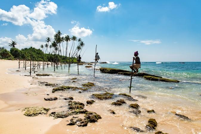 Sri Lanka's traditional stilt fishing