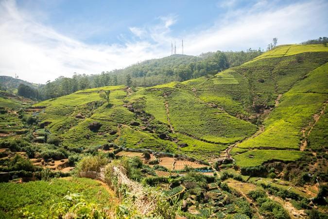 Explore Nuwara Eliya - Sri Lanka Travel, Asia