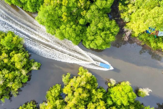 Kinabatangan River by yusnizam
