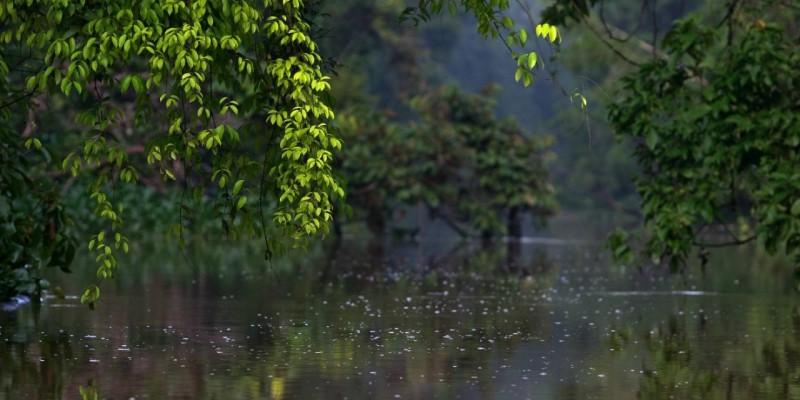 Kinabatangan River Safari by TNT Magazine