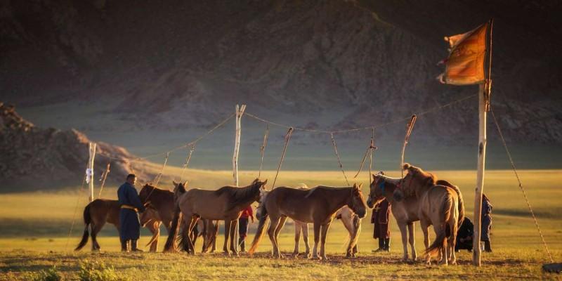 Wildlife Photography - © gather