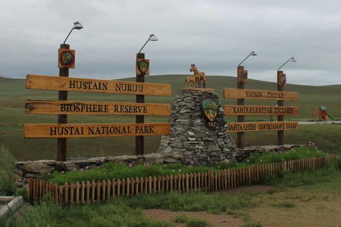 Activities in Hustai National Park - © Jenny Sandiford