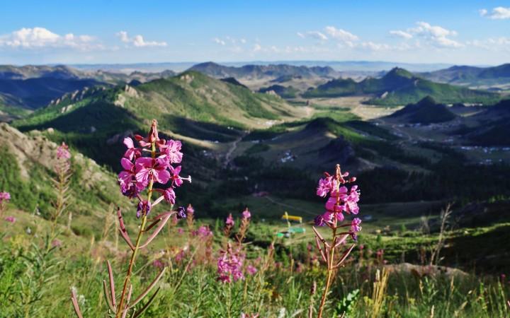 Terelj National Park's landscape